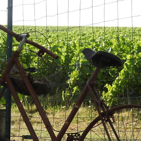 Au Coeur Des Vignes Bed & Breakfast Epernay Bagian luar foto