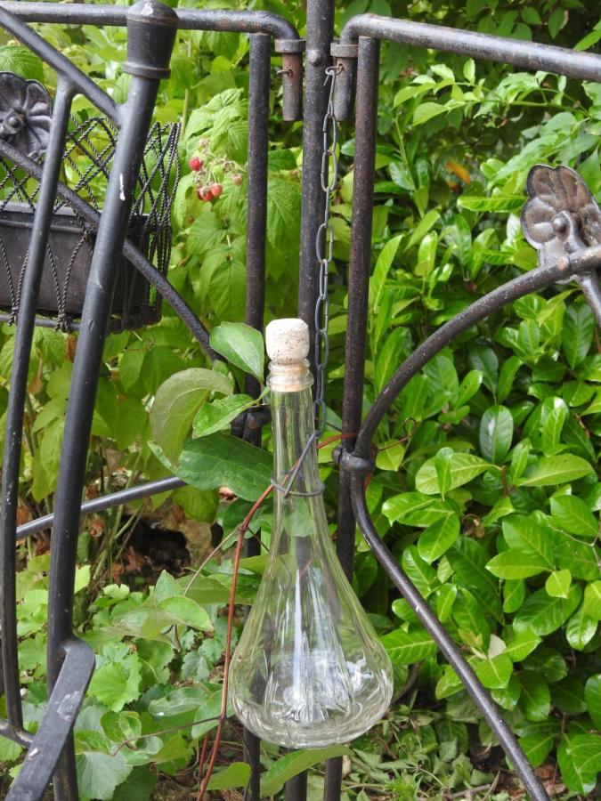 Au Coeur Des Vignes Bed & Breakfast Epernay Bagian luar foto