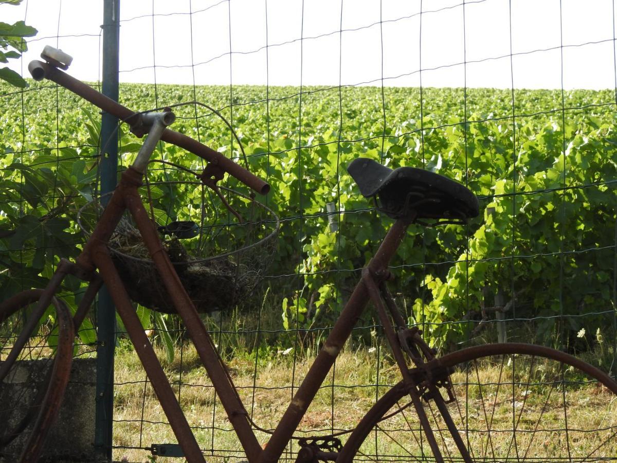 Au Coeur Des Vignes Bed & Breakfast Epernay Bagian luar foto