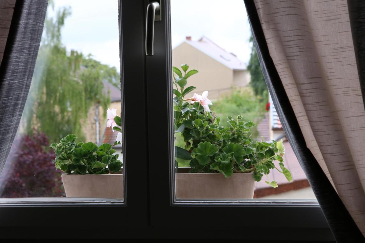 Au Coeur Des Vignes Bed & Breakfast Epernay Bagian luar foto