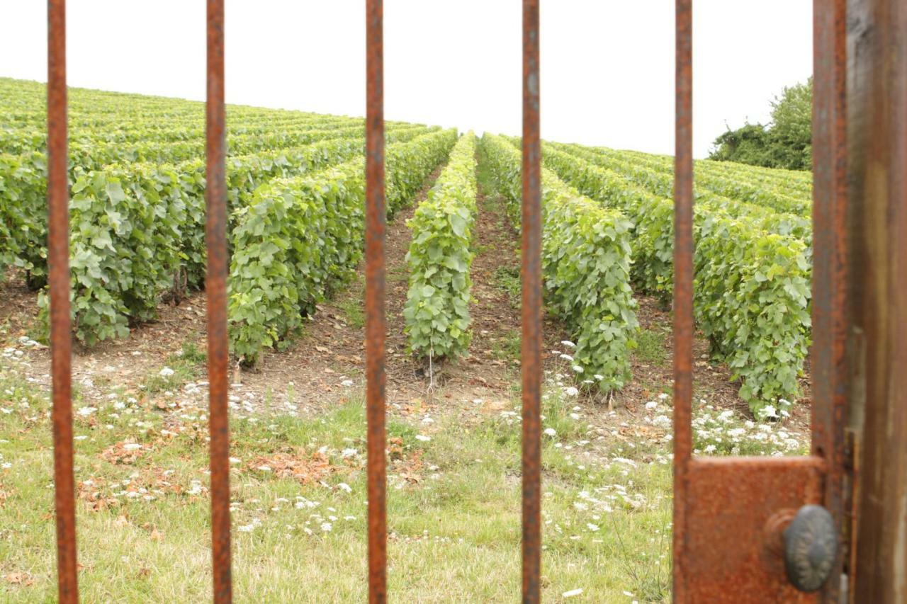 Au Coeur Des Vignes Bed & Breakfast Epernay Bagian luar foto